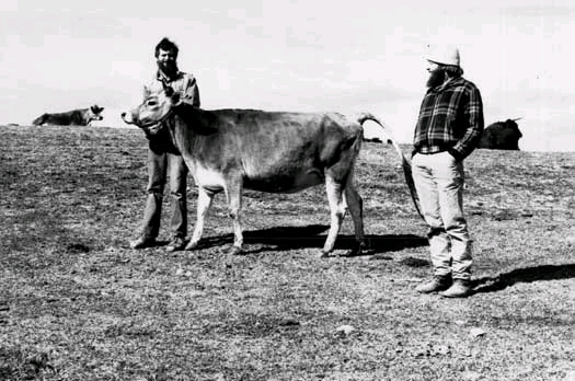 Lincoln GEIGER (gauche) et Anthony GRAHAM fondateurs de la ferme Temple-Wilson rendant visite à un couple de vaches laitières pour faire du beurre. Photo par Steven McFadden.